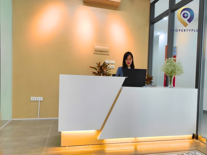 Belink Dreamland Bonanza